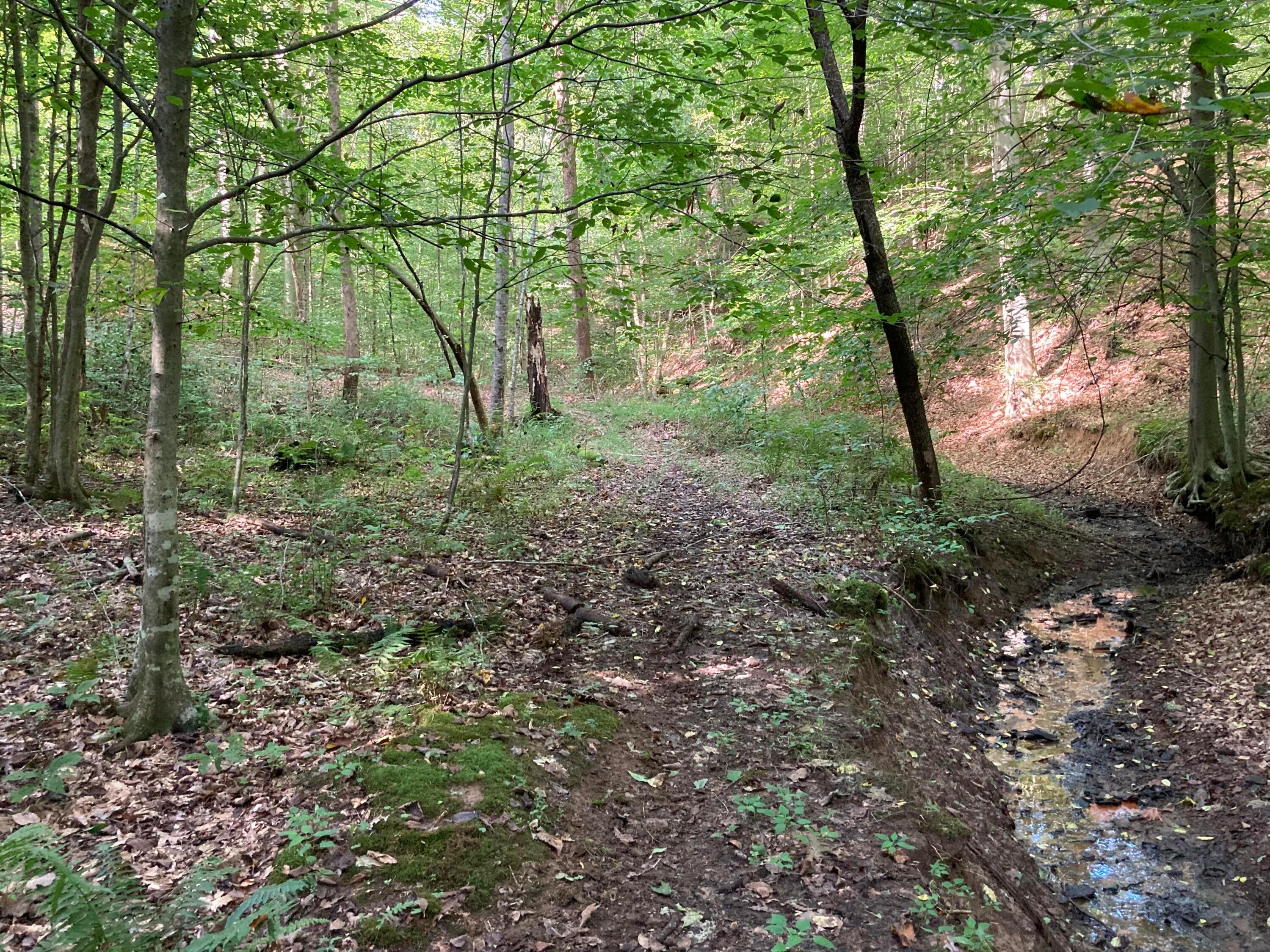 13284 Jake Tom Road Logan, OH 43138 - Photo 29 of 60 Gallery Image 29