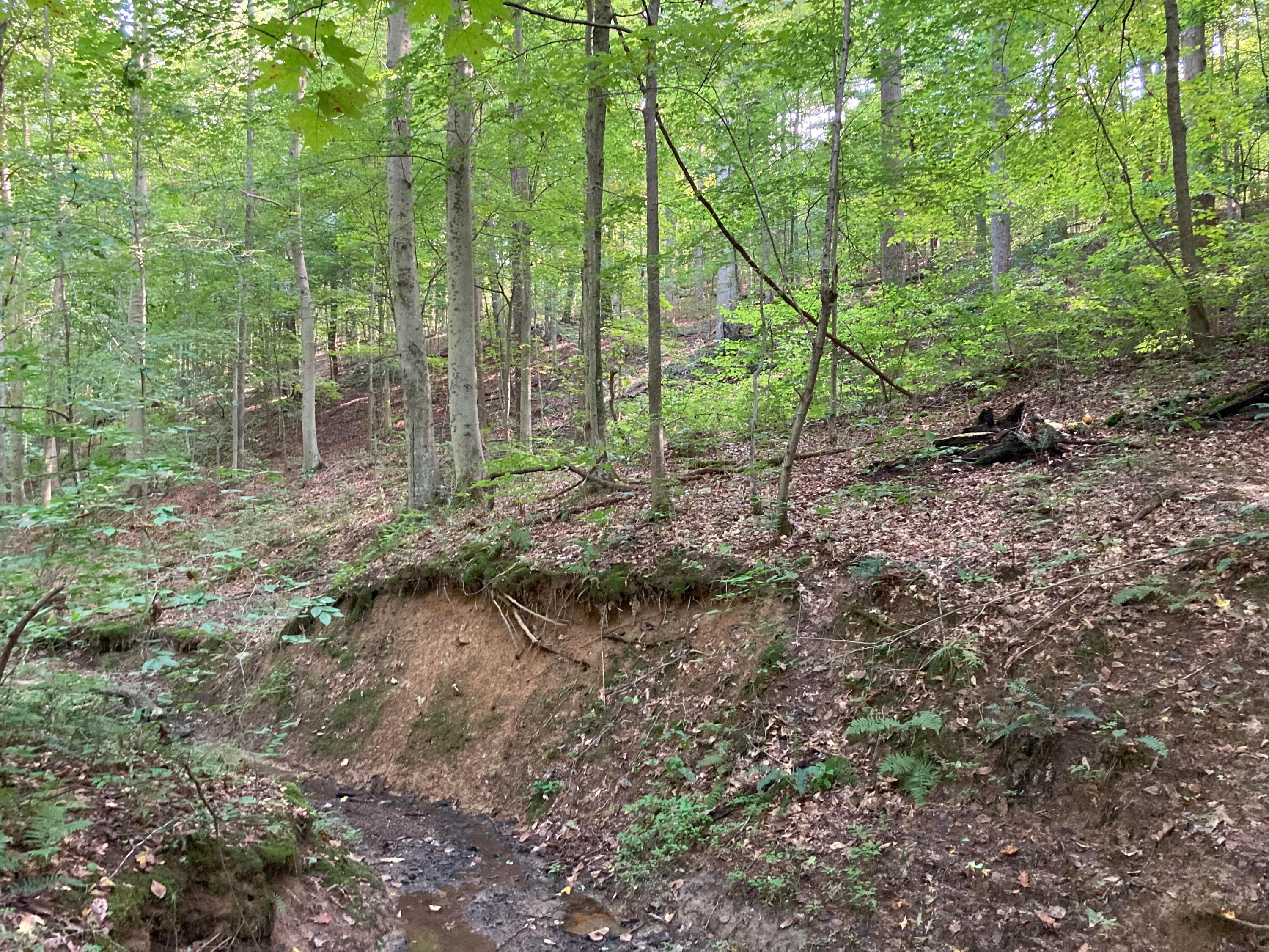 13284 Jake Tom Road Logan, OH 43138 - Photo 33 of 60 Gallery Image 33