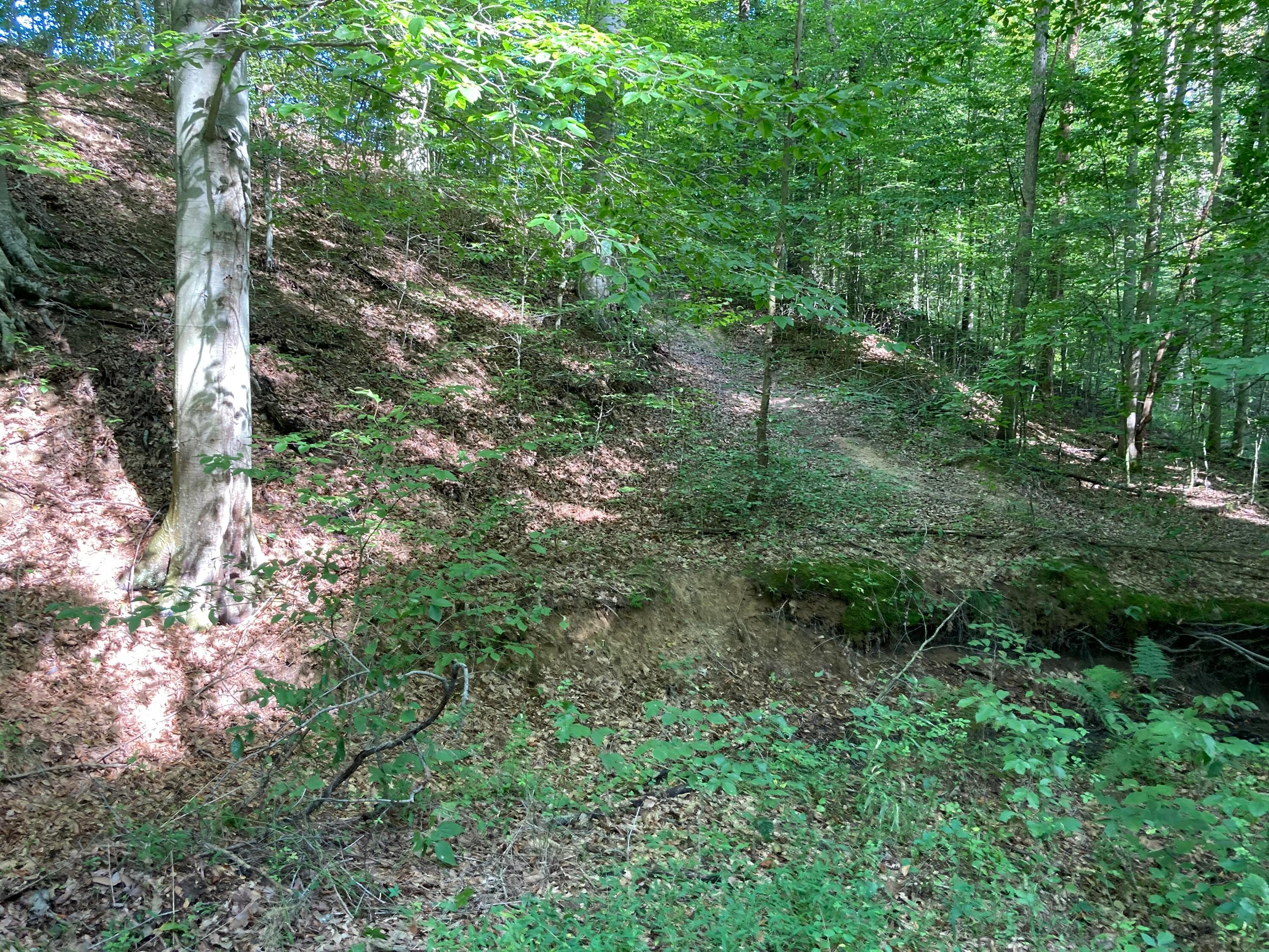 13284 Jake Tom Road Logan, OH 43138 - Photo 34 of 60 Gallery Image 34