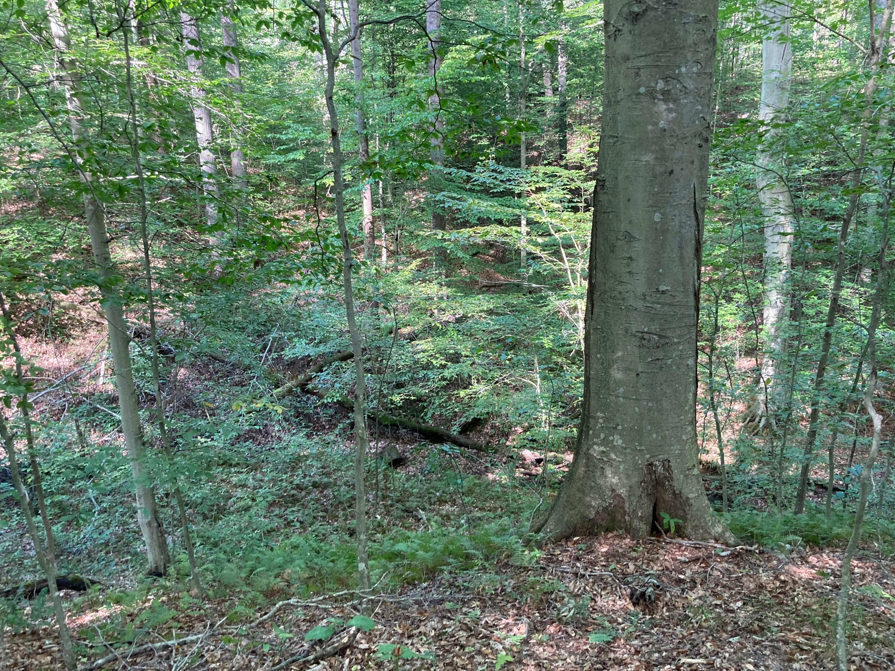 13284 Jake Tom Road Logan, OH 43138 - Photo 42 of 60 Gallery Image 42