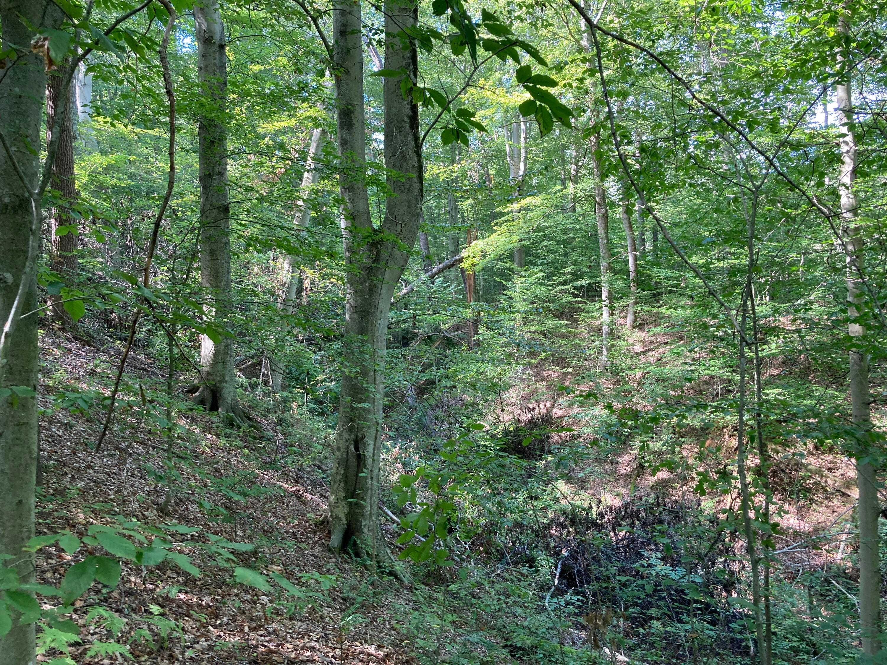 13284 Jake Tom Road Logan, OH 43138 - Photo 43 of 60 Gallery Image 43
