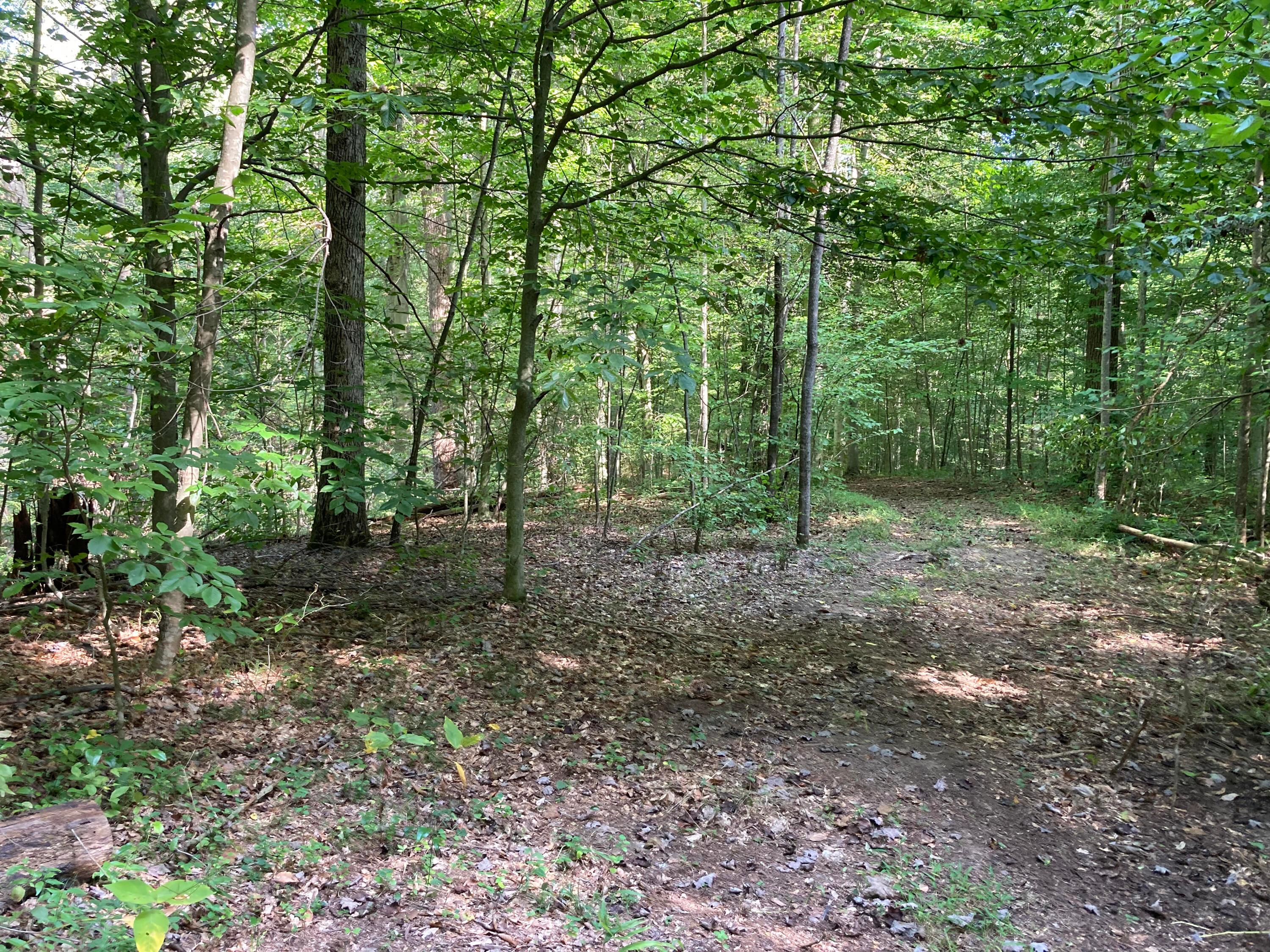 13284 Jake Tom Road Logan, OH 43138 - Photo 44 of 60 Gallery Image 44