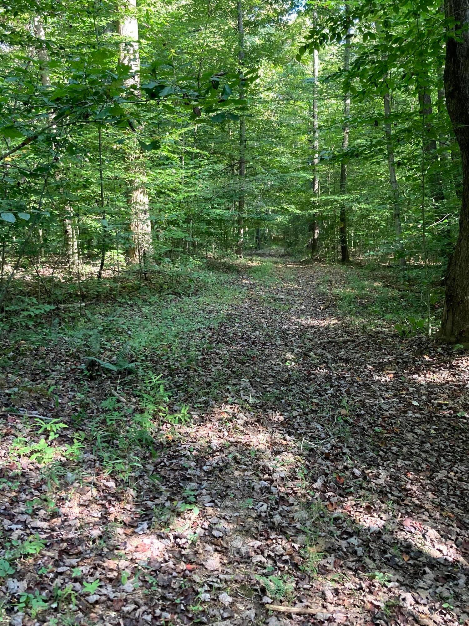 13284 Jake Tom Road Logan, OH 43138 - Photo 45 of 60 Gallery Image 45