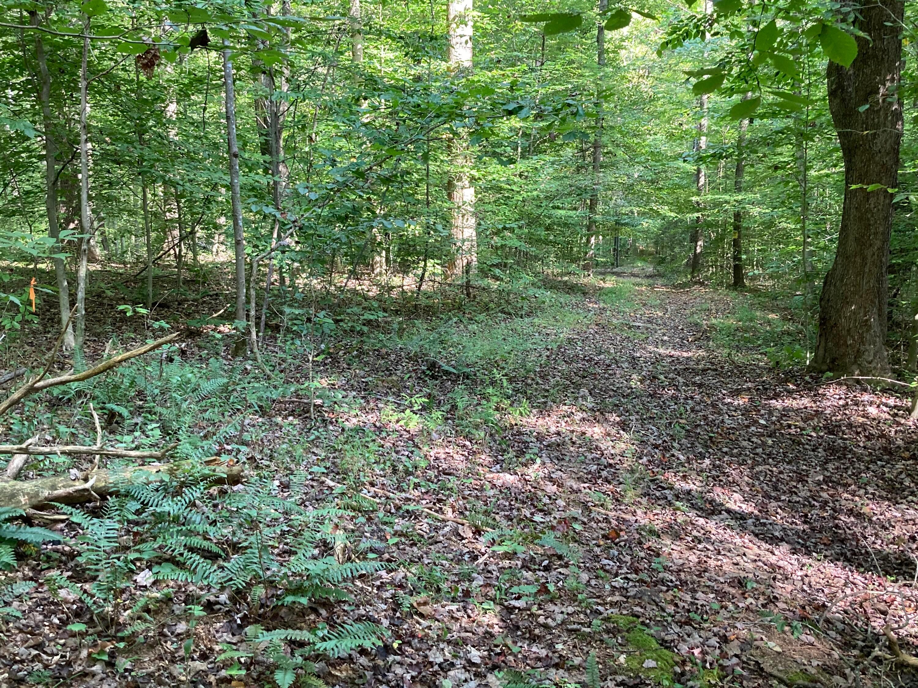 13284 Jake Tom Road Logan, OH 43138 - Photo 46 of 60 Gallery Image 46