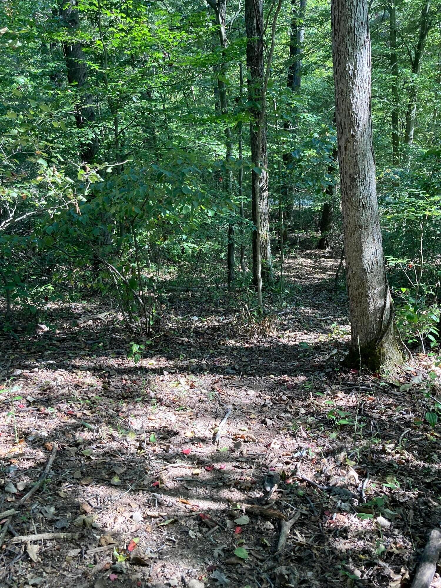 13284 Jake Tom Road Logan, OH 43138 - Photo 52 of 60 Gallery Image 52