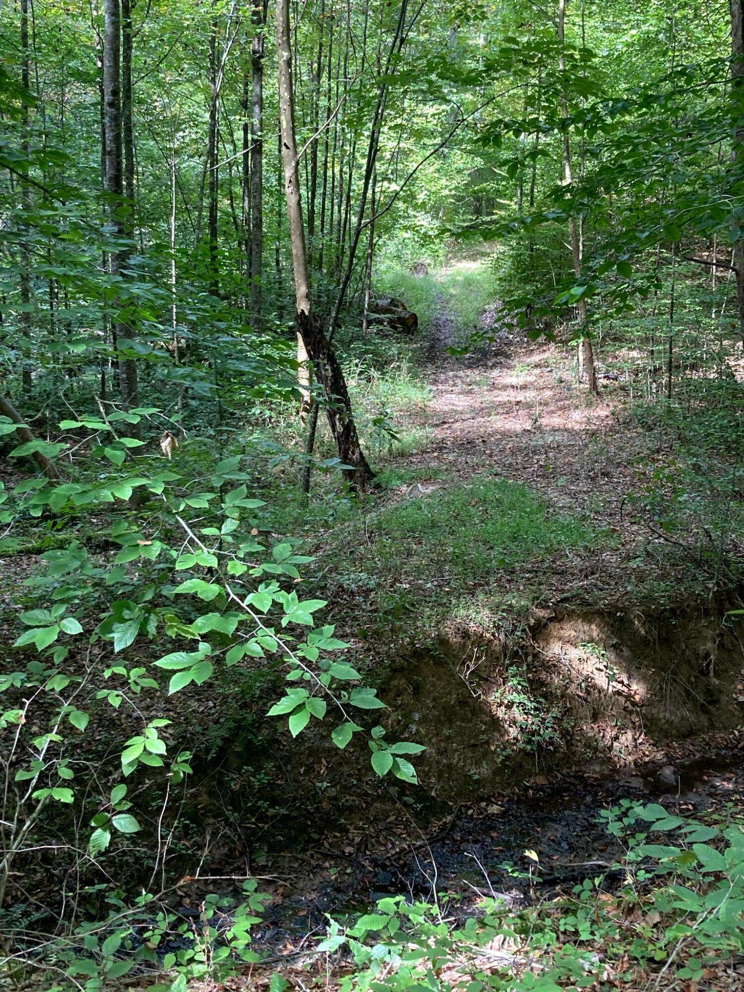 13284 Jake Tom Road Logan, OH 43138 - Photo 56 of 60 Gallery Image 56
