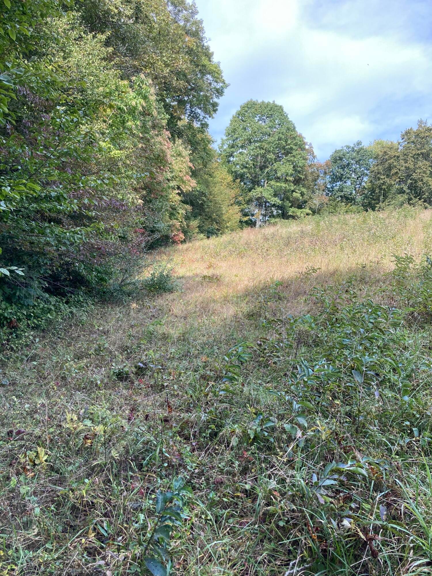 13284 Jake Tom Road Logan, OH 43138 - Photo 57 of 60 Gallery Image 57