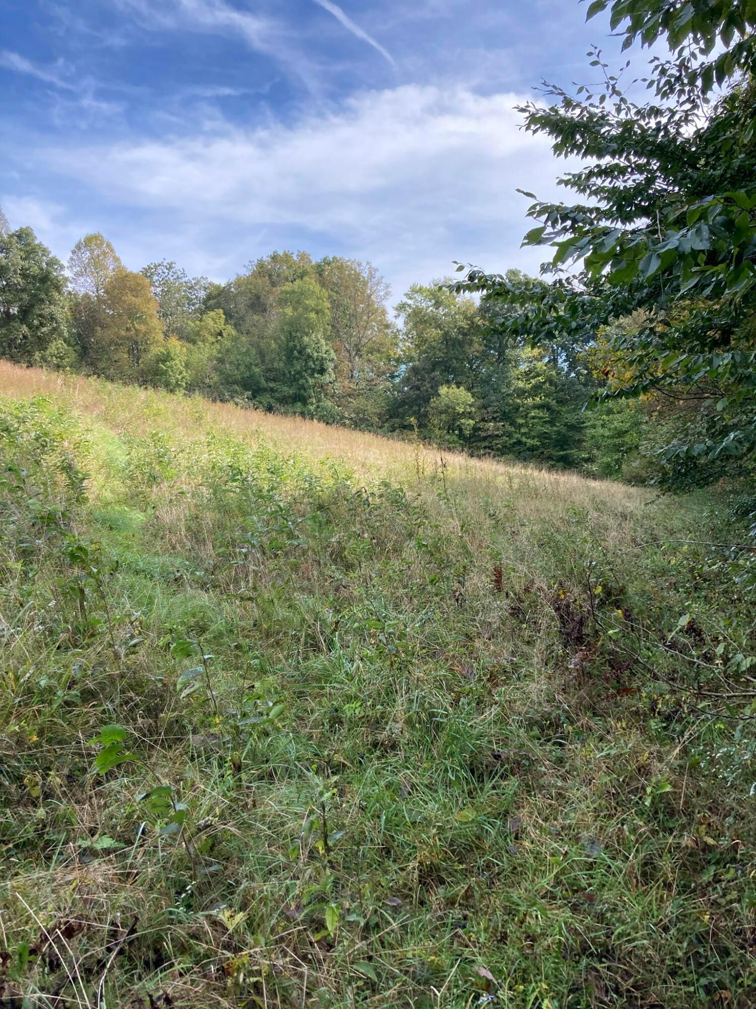 13284 Jake Tom Road Logan, OH 43138 - Photo 58 of 60 Gallery Image 58