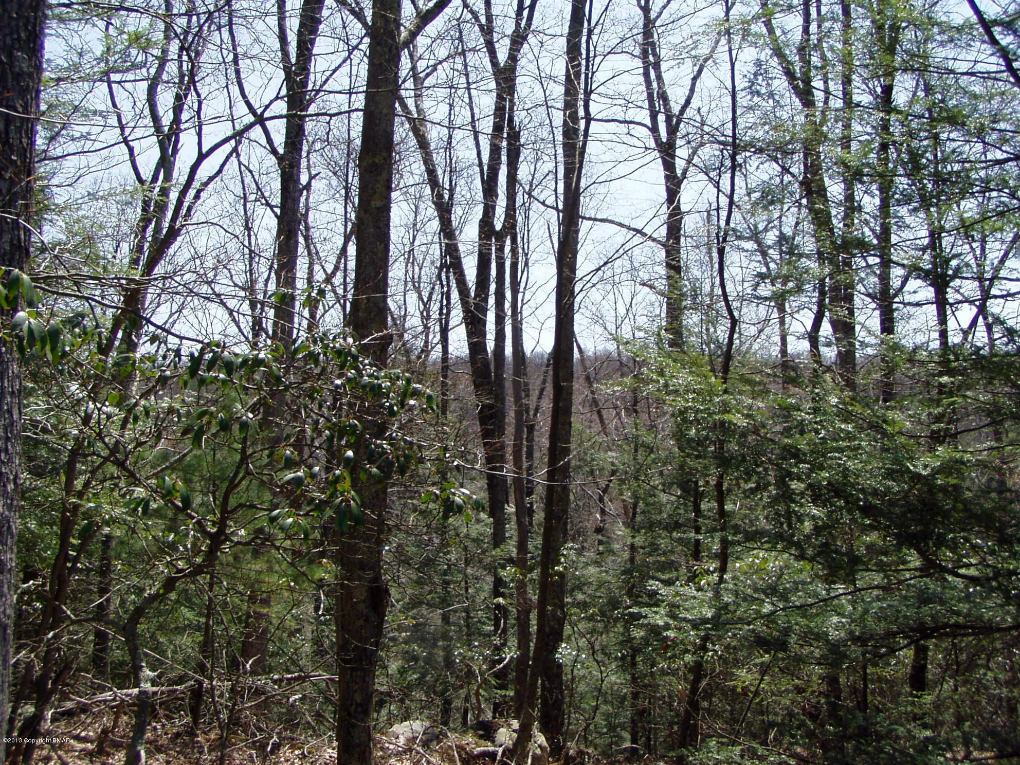 Lot 56 High Road Cresco, PA 18326 - Photo 3 of 3 View!