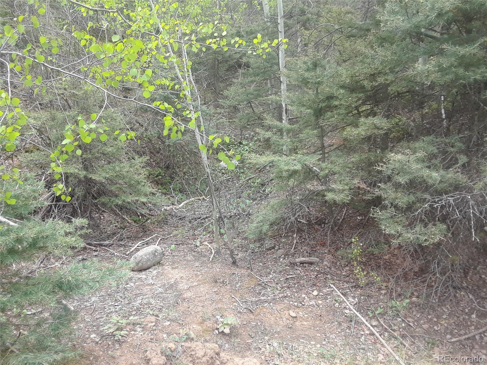 Whitney Road San Luis, CO 81152 - Photo 3 of 15 Gallery Image 3