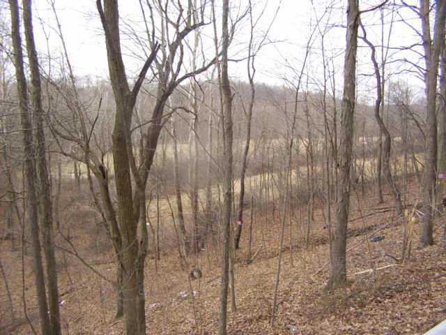 2 Wolf Hill Road McArthur, OH 45651 - Photo 3 of 5