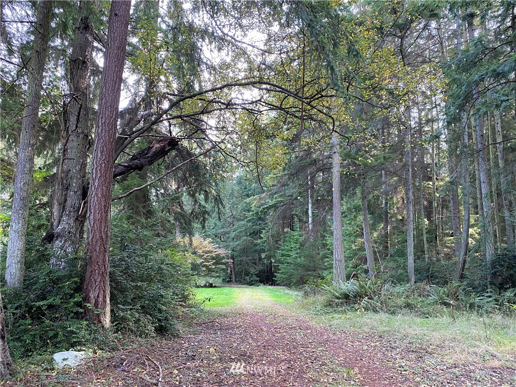 1981 Goss Ridge Road Freeland, WA 98249 - Photo 1 of 8