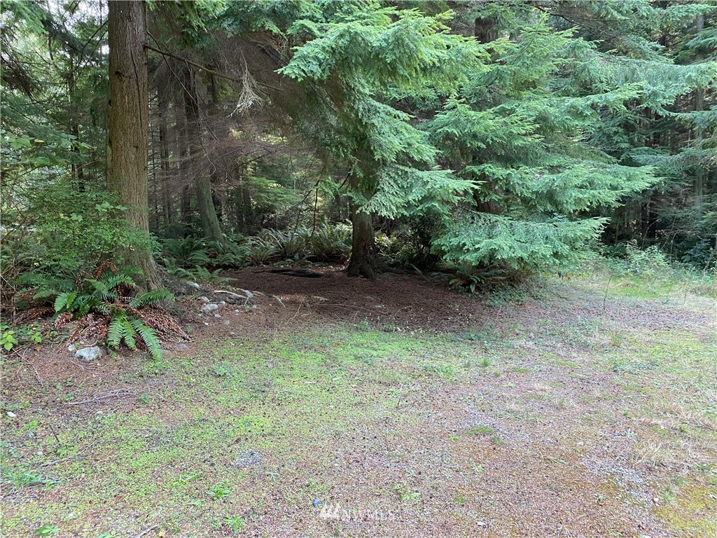 1981 Goss Ridge Road Freeland, WA 98249 - Photo 4 of 8