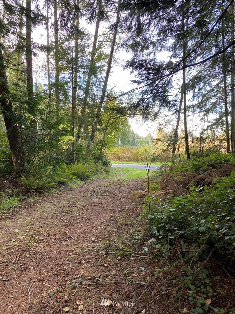1981 Goss Ridge Road Freeland, WA 98249 - Photo 6 of 8
