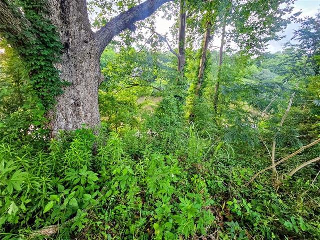 197 Pritchard Road Jonesville, LA 71343 - Photo 4 of 6