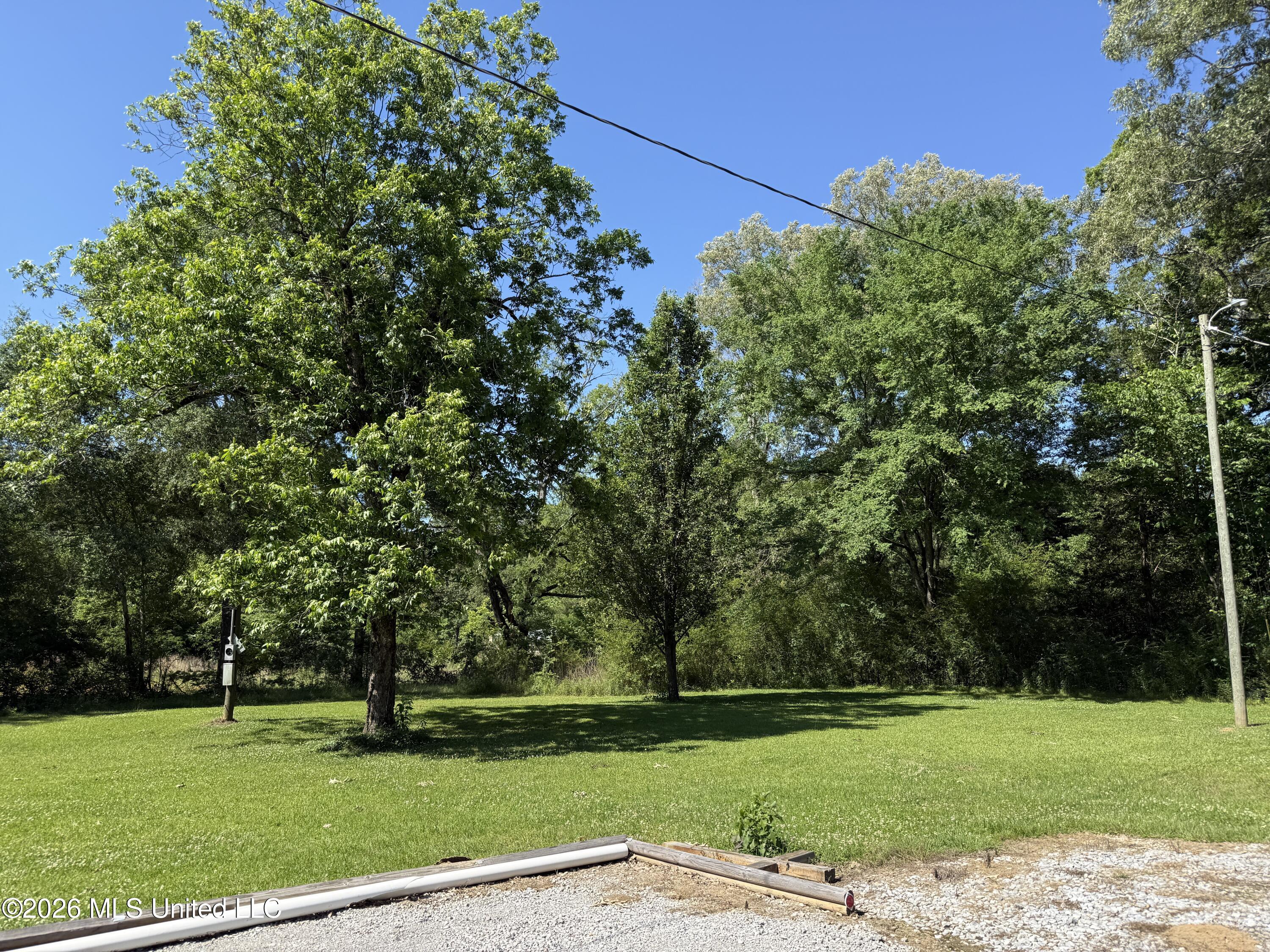 345 Drysdale Road Carthage, MS 39051 - Photo 6 of 30 IMG_3678