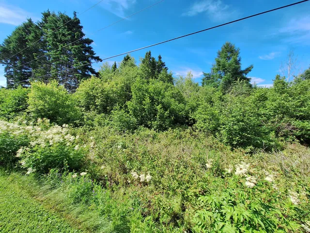 $25,000 | Lot #54 Lavertu Road, St. David, ME 04773