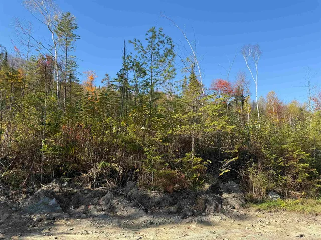 $69,000 | Lot 22 Hartco Avenue, Lancaster, NH 03584