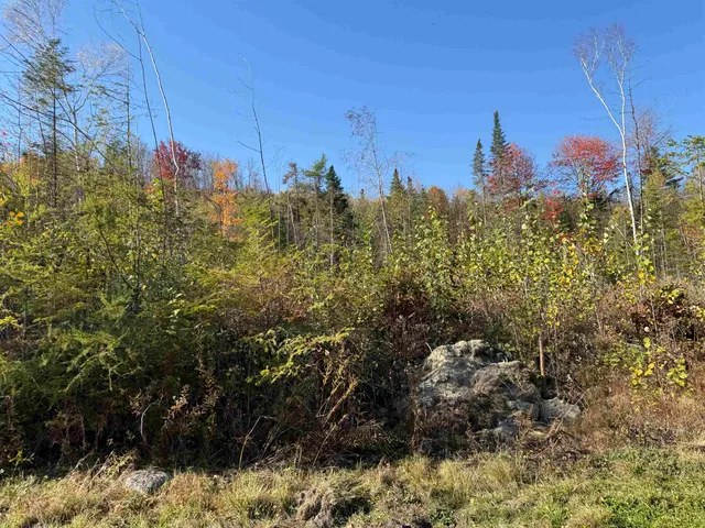 $69,000 | Lot 22 Hartco Avenue, Lancaster, NH 03584