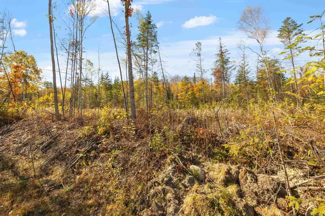 $69,000 | Lot 22 Hartco Avenue, Lancaster, NH 03584