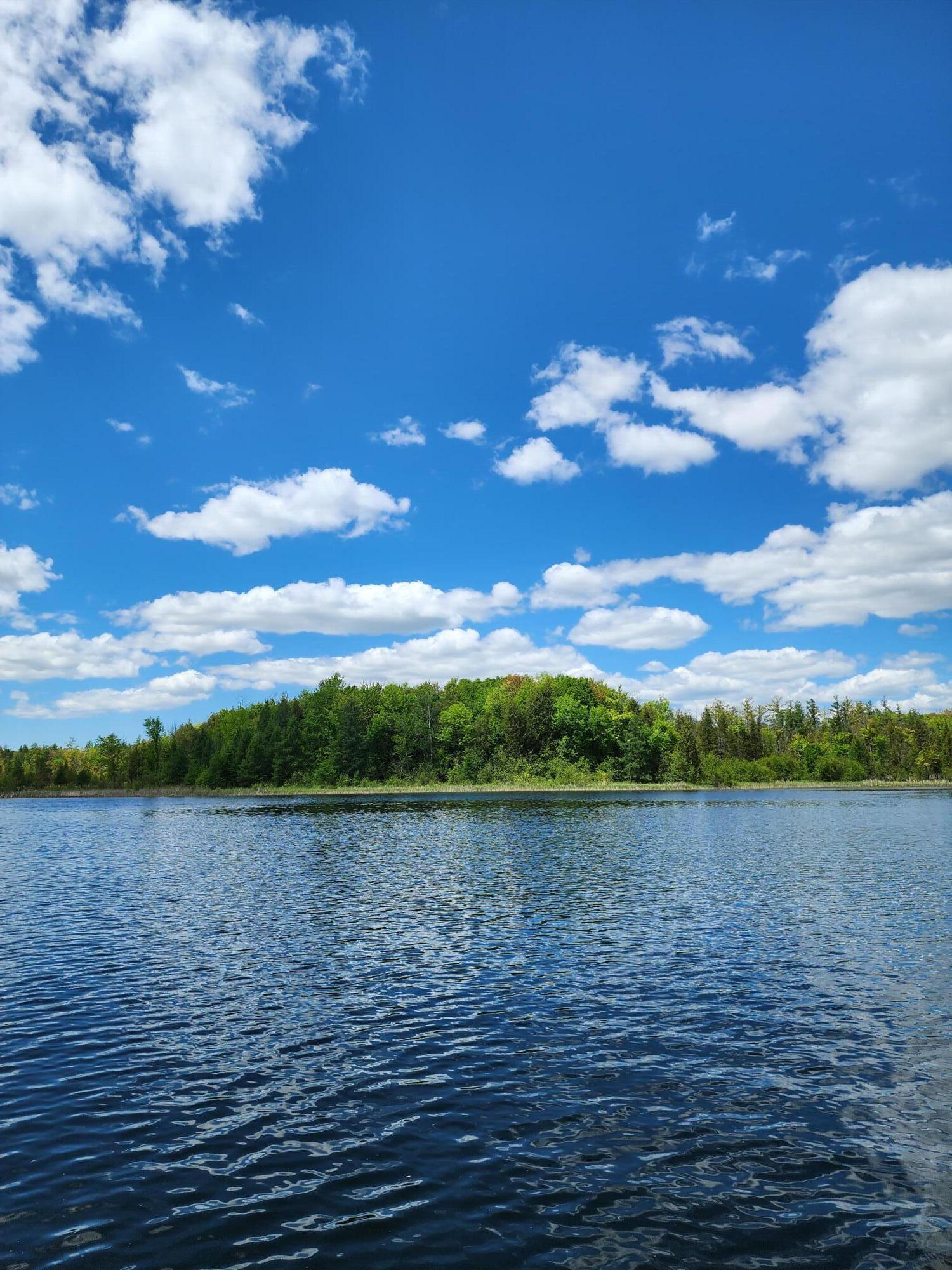 0 East Spring Hill, Unit 8 Hesperia, MI 49421 - Photo 4 of 12 20250526_141402