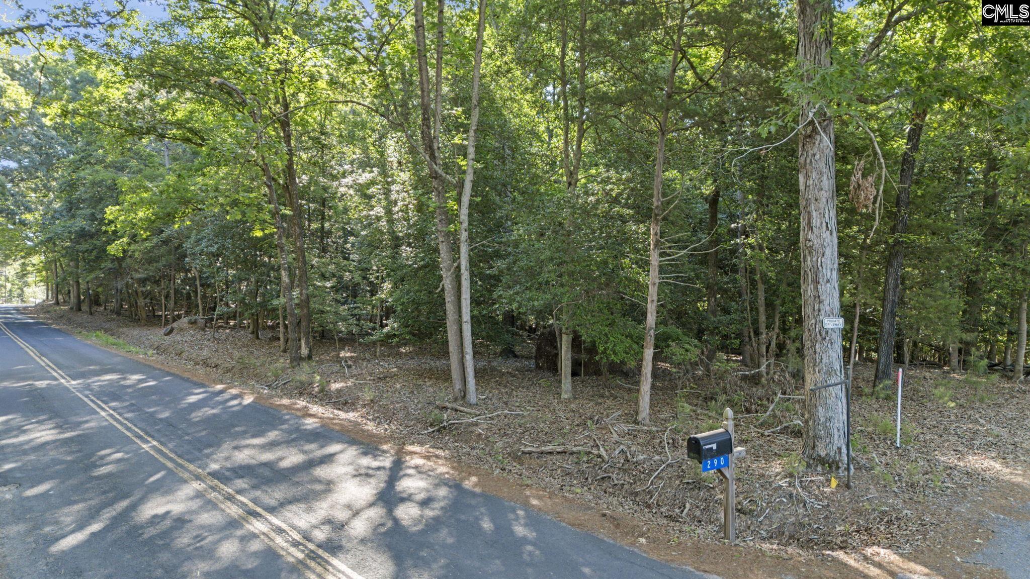 0 Lominack Road Prosperity, SC 29127 - Photo 5 of 19