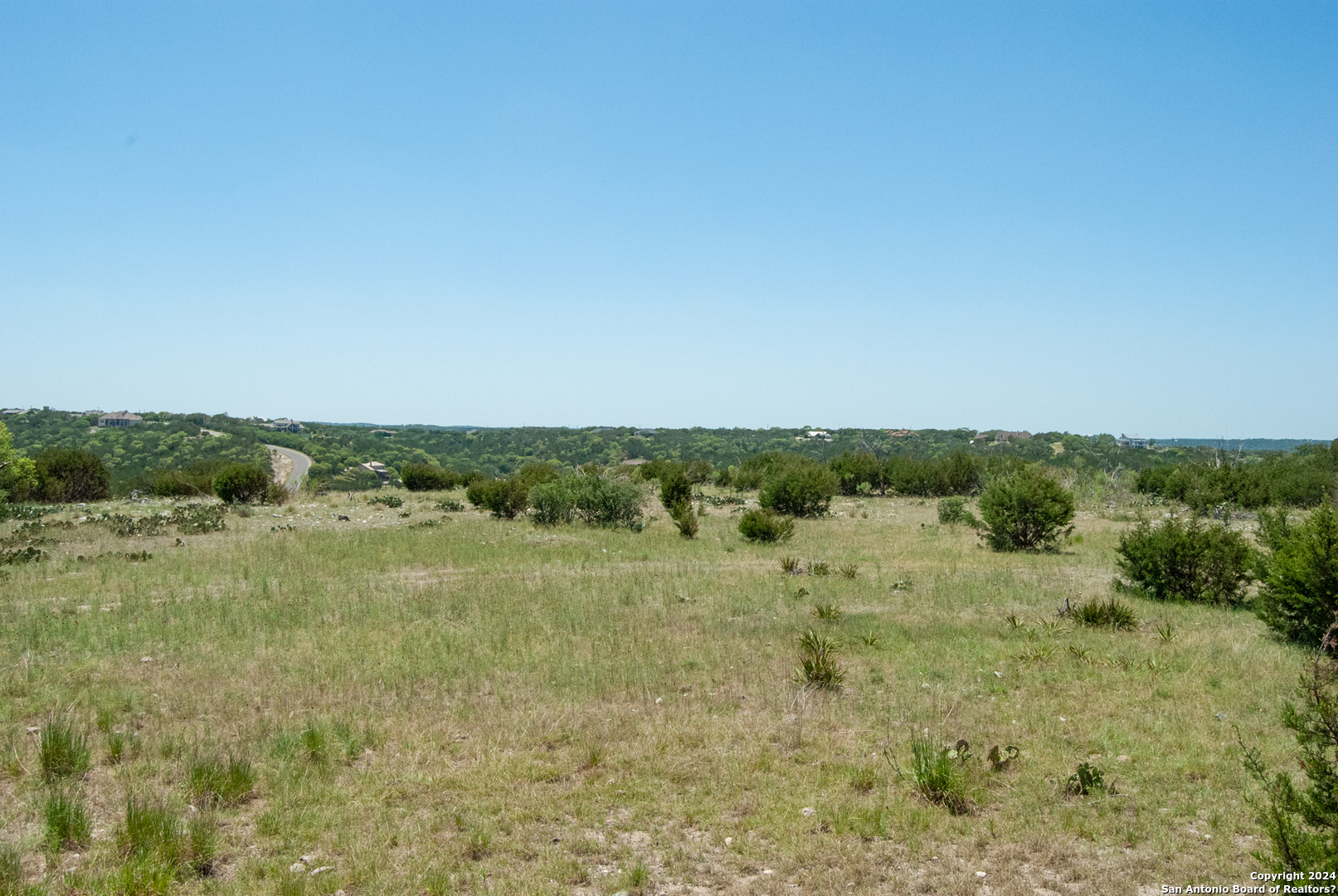 0 Sheppard Rees Road Kerrville, TX 78028 - Photo 12 of 15 a view of a bunch of trees in a field