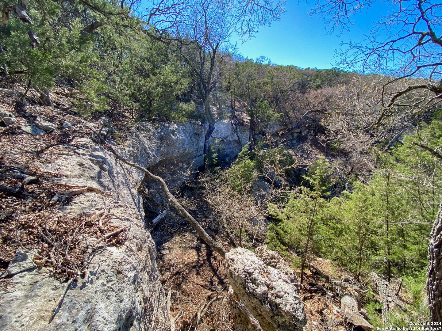 0 Sheppard Rees Road Kerrville, TX 78028 - Photo 4 of 15 a view of a forest with trees