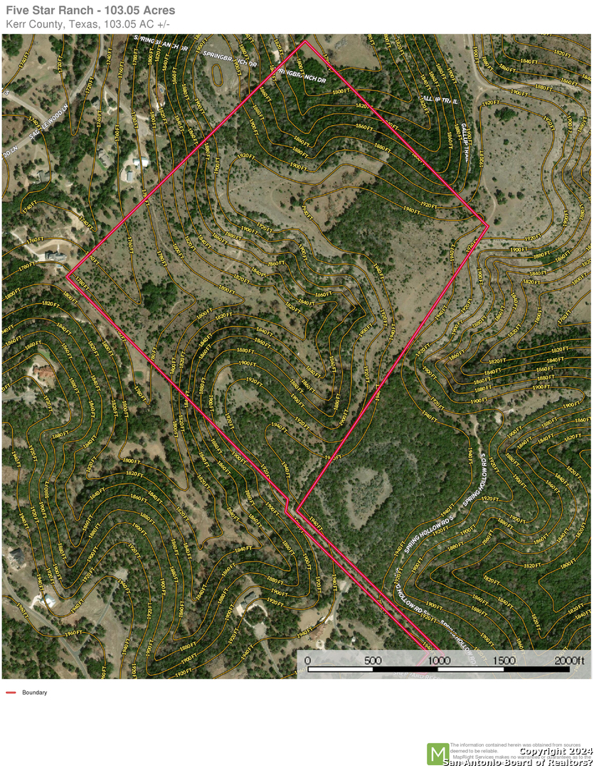 0 Sheppard Rees Road Kerrville, TX 78028 - Photo 5 of 15 a black and white photo of a tree