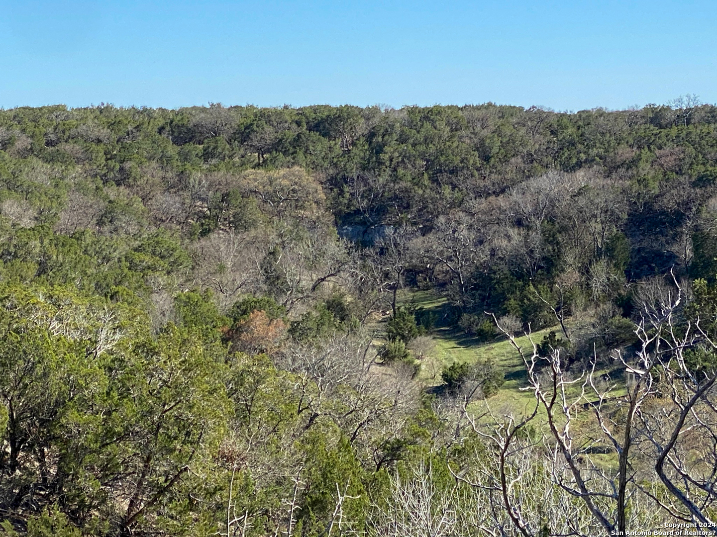 0 Sheppard Rees Road Kerrville, TX 78028 - Photo 7 of 15 an aerial view of forest