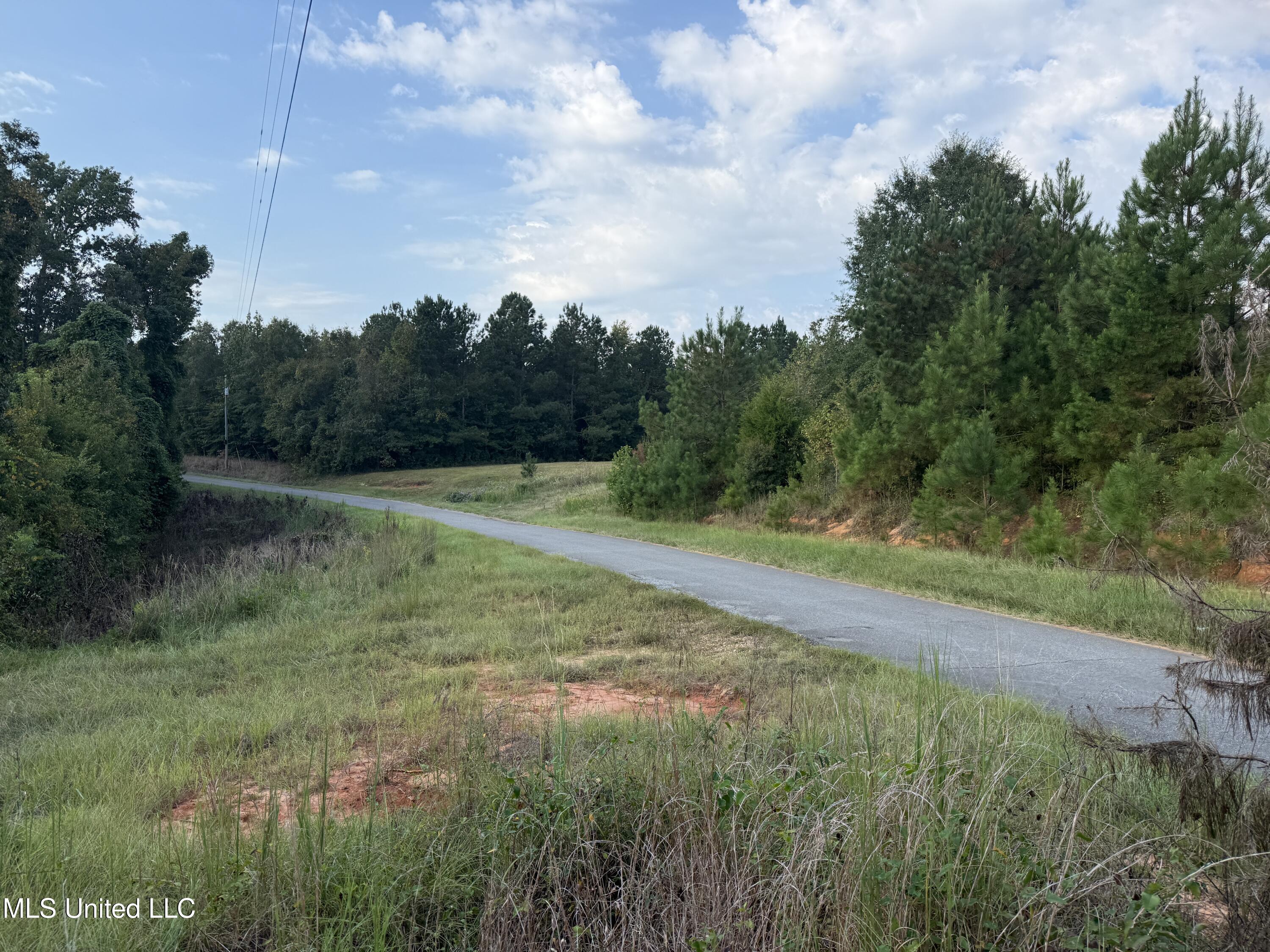 Blizzard Road Meridian, MS 39305 - Photo 3 of 10 Photo Sep 16 2025, 8 46 13 AM