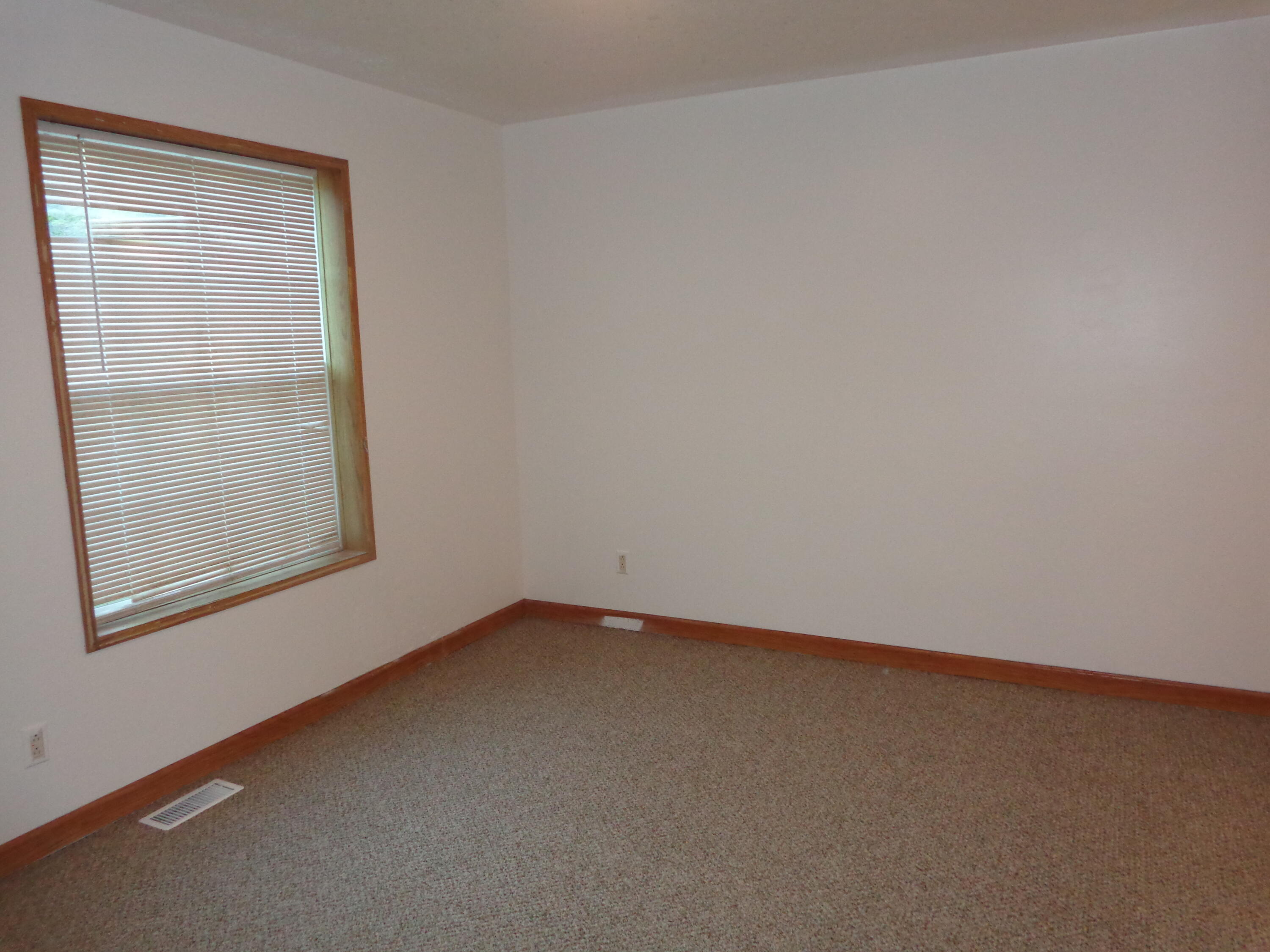 222 4th Street Grand Junction, MI 49056 - Photo 23 of 33 DSC00188