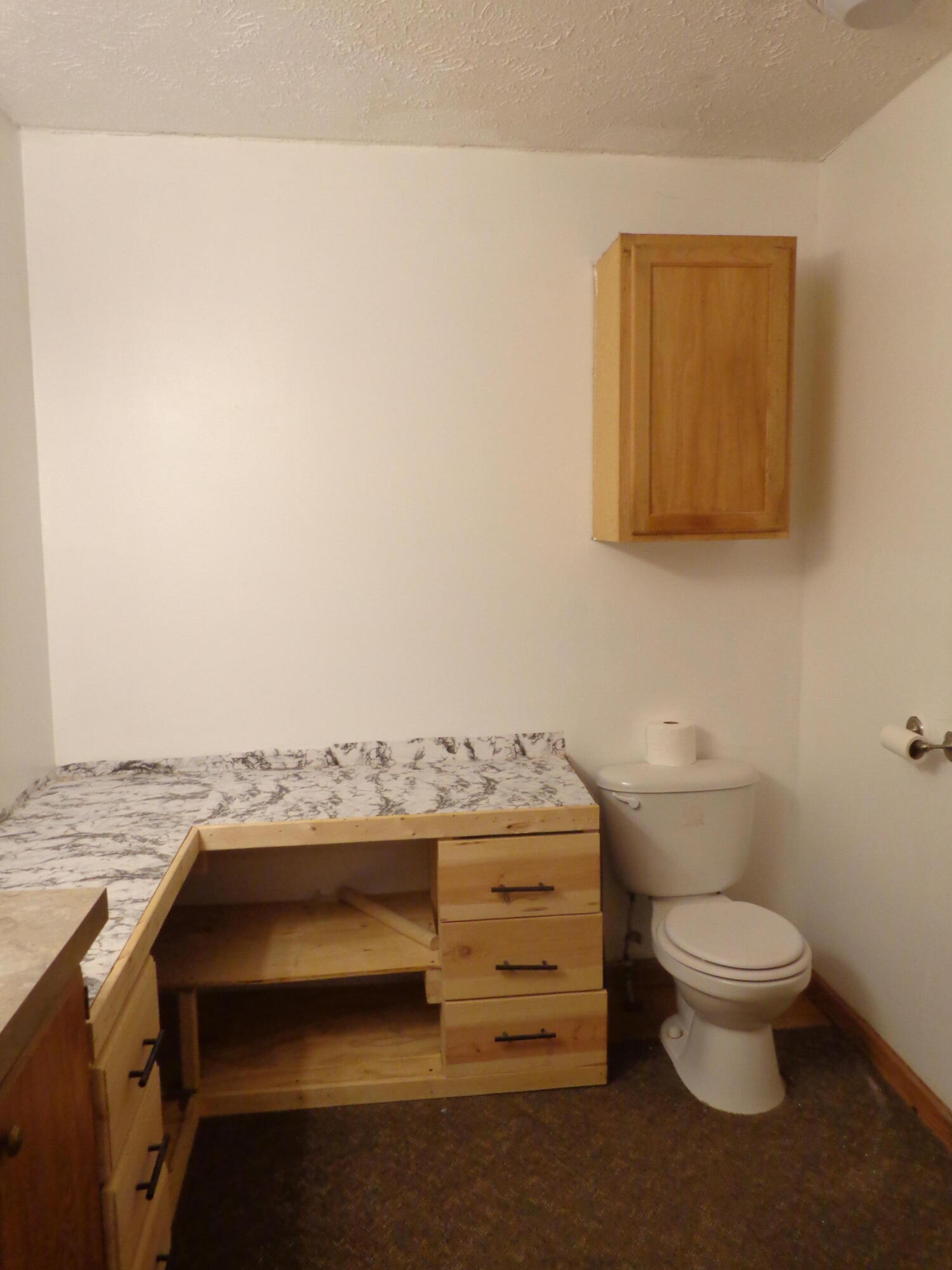 222 4th Street Grand Junction, MI 49056 - Photo 25 of 33 DSC00193