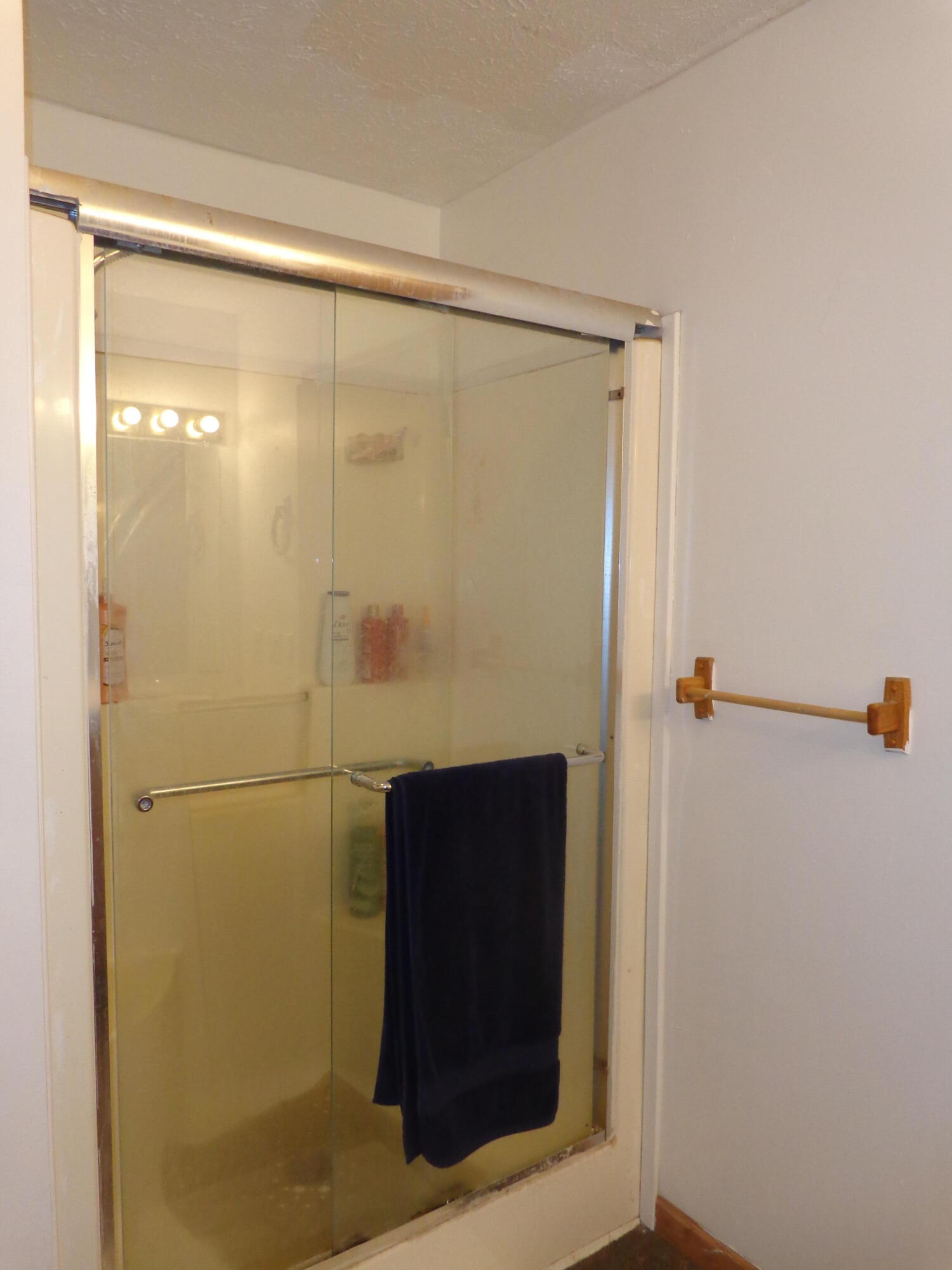 222 4th Street Grand Junction, MI 49056 - Photo 26 of 33 DSC00078