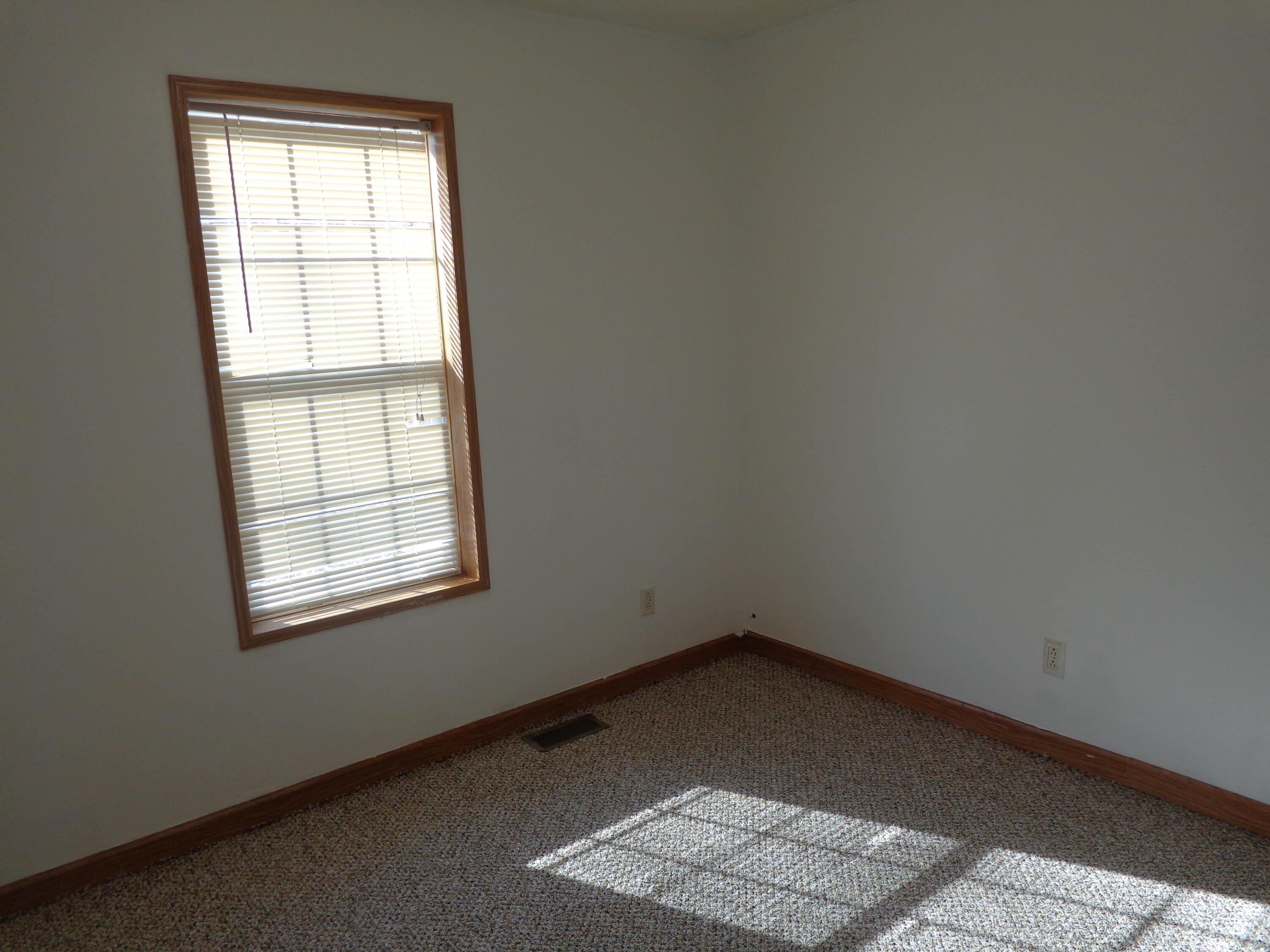 222 4th Street Grand Junction, MI 49056 - Photo 27 of 33 DSC00089