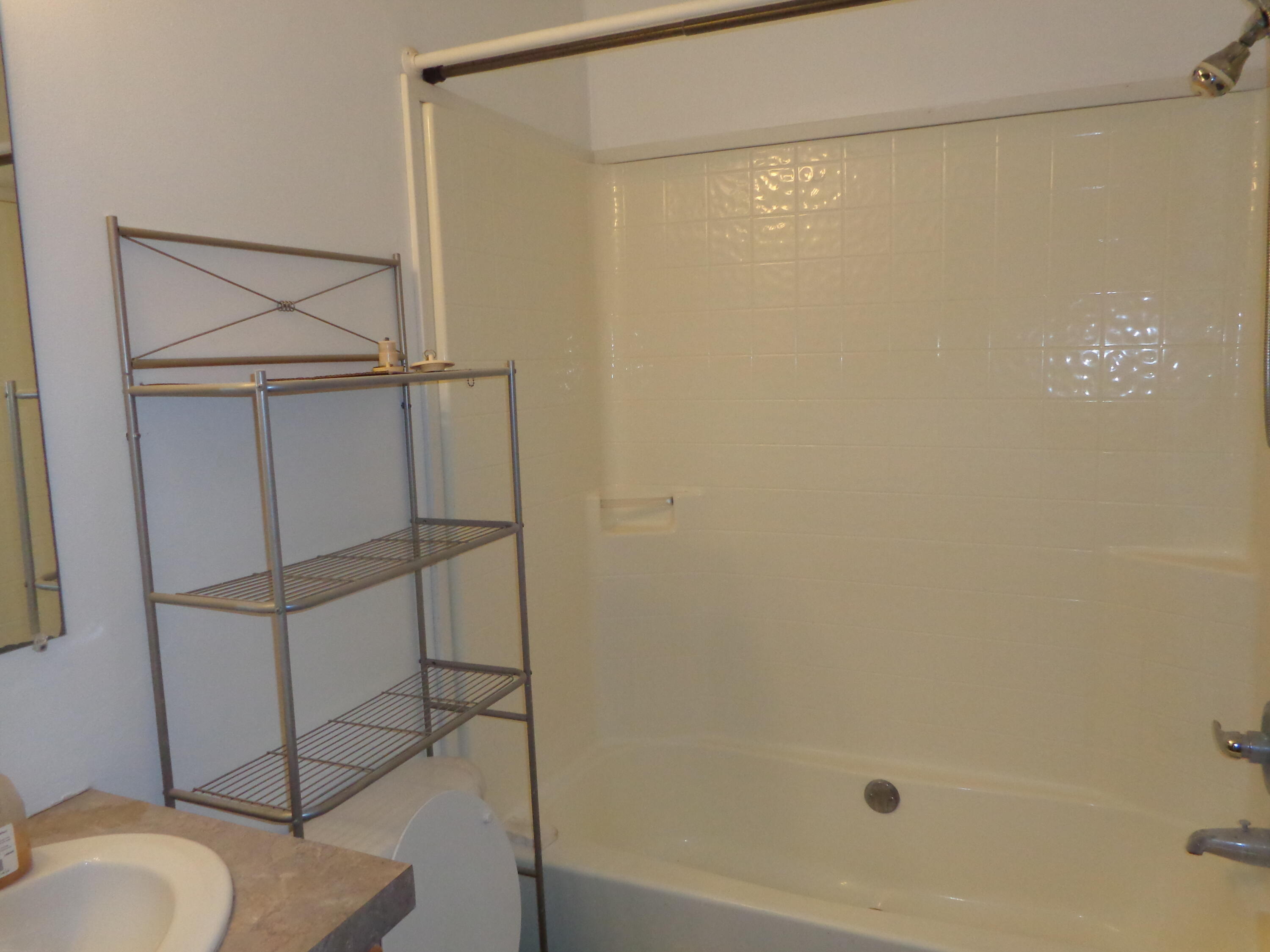 222 4th Street Grand Junction, MI 49056 - Photo 33 of 33 DSC00175
