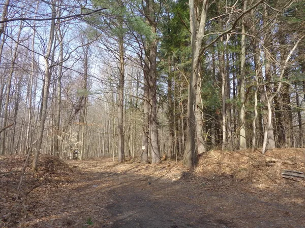 $234,900 | 222 4th Street, Grand Junction, MI 49056