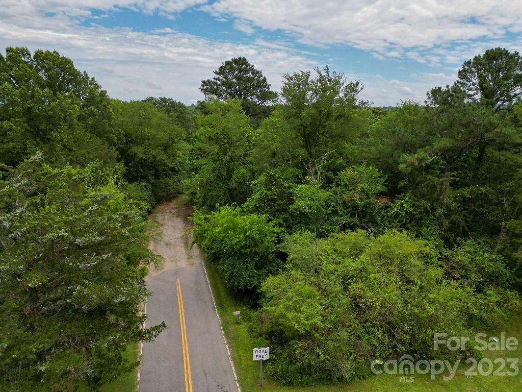 0 Kelly Road Chester, SC 29706 - Photo 5 of 24 a view of a pathway both side of yard