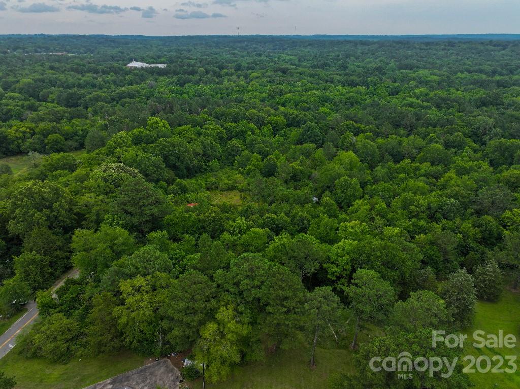 0 Kelly Road Chester, SC 29706 - Photo 8 of 24 a view of a lush green forest with lots of trees