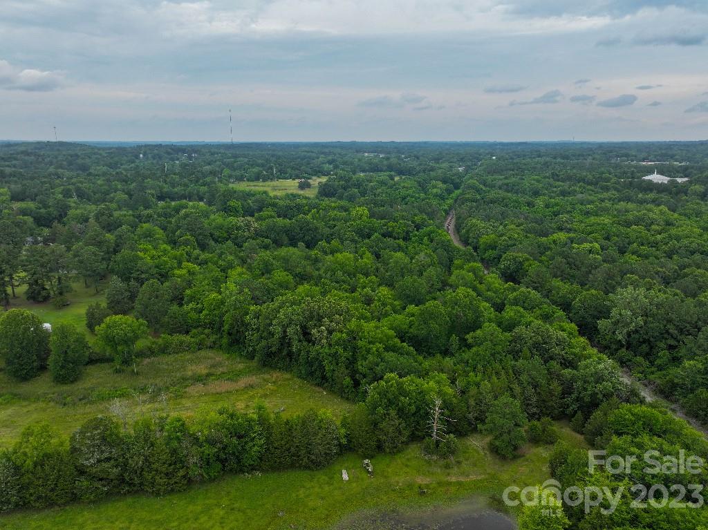0 Kelly Road Chester, SC 29706 - Photo 9 of 24 a view of a big yard with plants and large trees