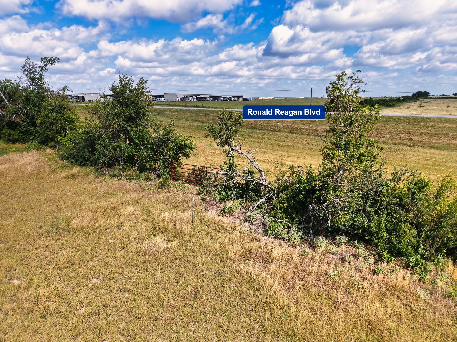 Tbd Ronald Reagan Boulevard Georgetown, TX 78633 - Photo 6 of 12 A sprawling lot offers abundant natural beauty and direct road access.