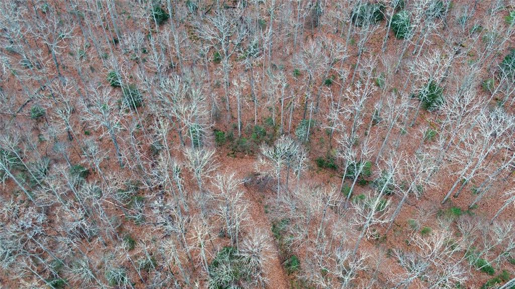 Undisclosed Address Rabun Gap, GA 30568 - Photo 96 of 100