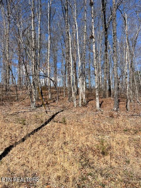 Street Place Loop Monterey, TN 38574 - Photo 2 of 7 IMG_5763