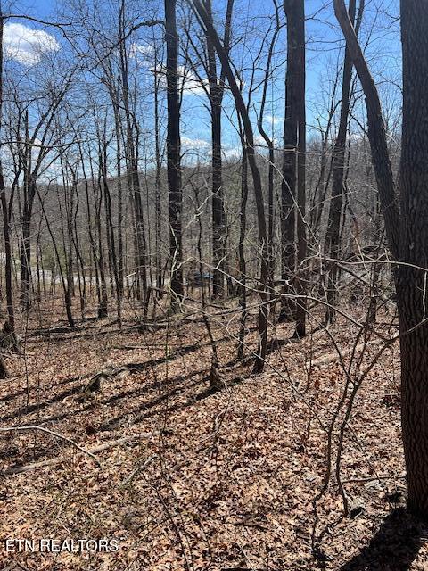 Street Place Loop Monterey, TN 38574 - Photo 3 of 7 IMG_5768