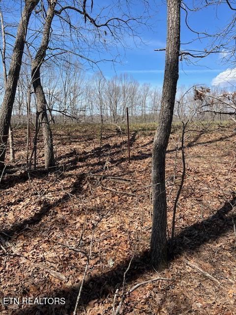 Street Place Loop Monterey, TN 38574 - Photo 4 of 7 IMG_5770