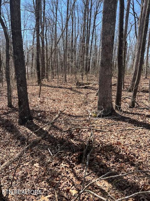 Street Place Loop Monterey, TN 38574 - Photo 5 of 7 IMG_5771