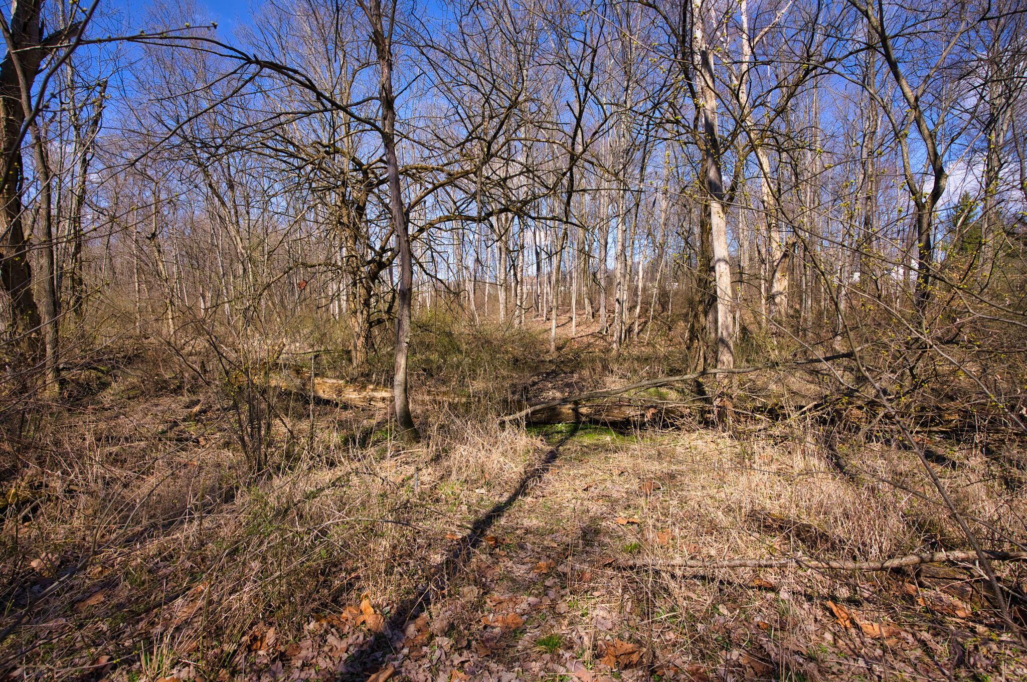 2952 Colts Neck Road Blacklick, OH 43004 - Photo 10 of 21 82-web-or-mls-2952-colts-neck-rd