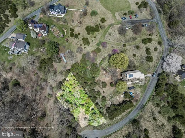 a view of a bird bath