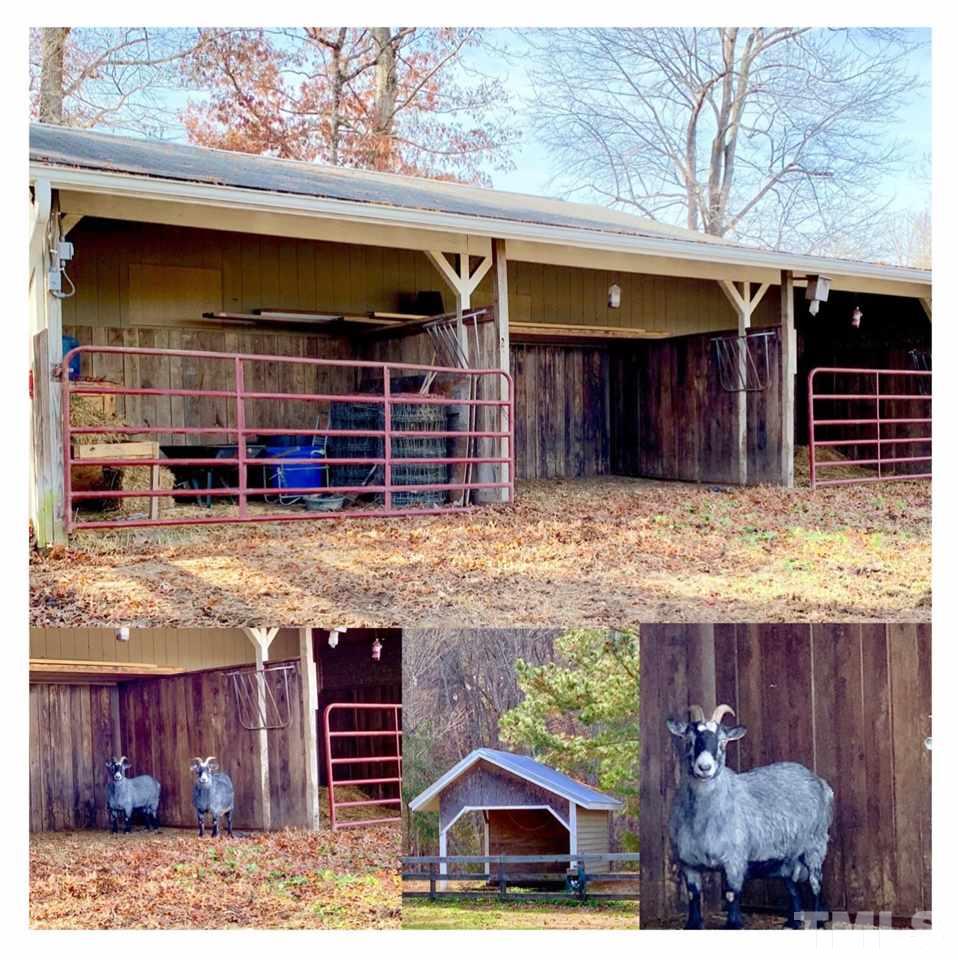 823 Bowen Road Rougemont, NC 27572 - Photo 7 of 25 Three large Stalls and one lean too.