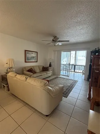 a living room with couches and large potted plant with a large window